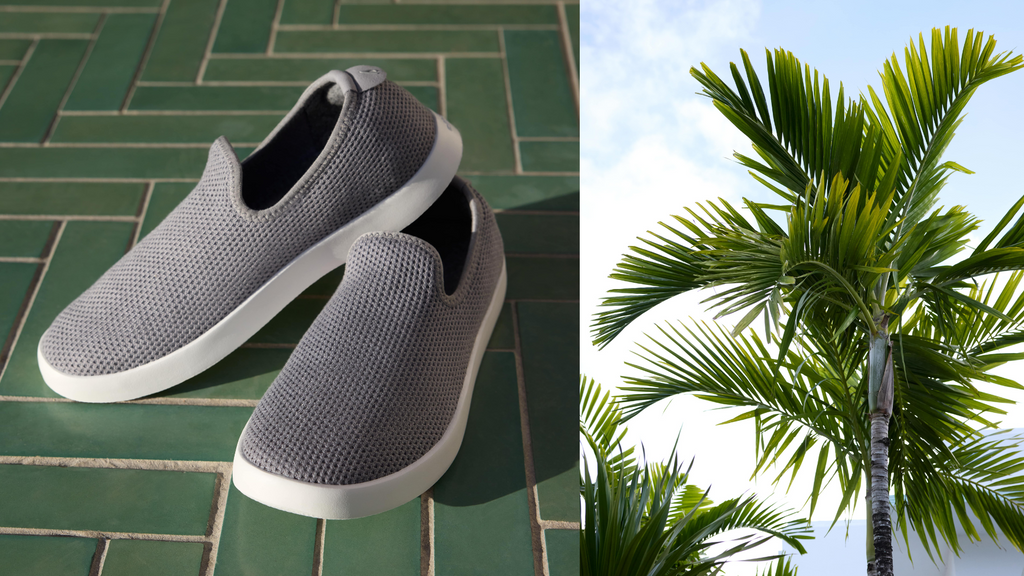 Gardening Shoes And Garden Gnomes